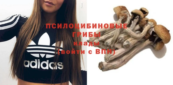гашик Арсеньев