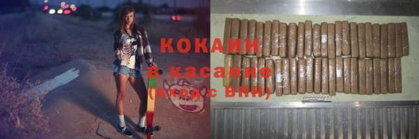 гашик Арсеньев