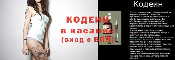 гашик Арсеньев